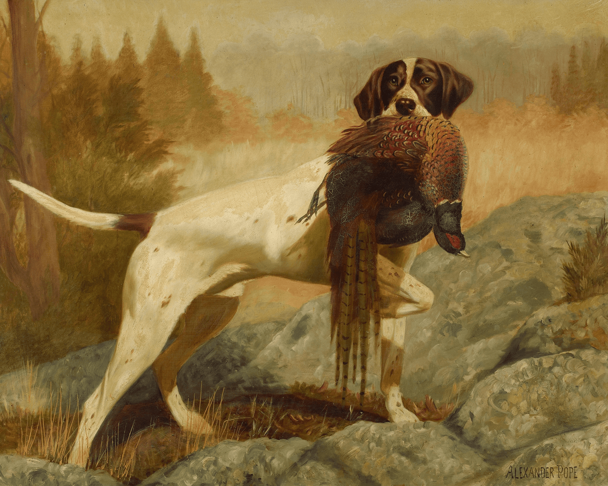 
                  
                    Pointer with Pheasant Antique Art Print - Curated Home Decor
                  
                