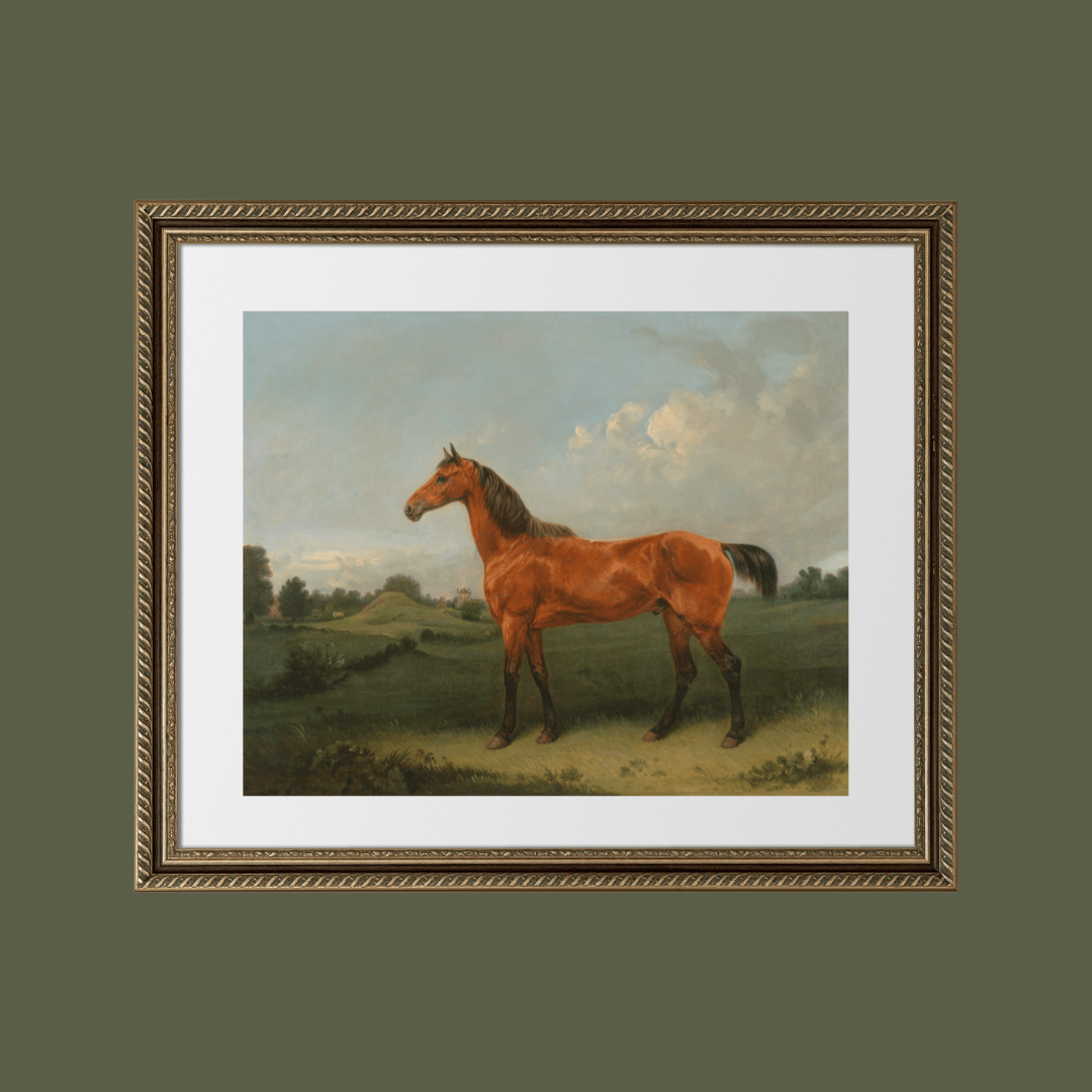 
                  
                    British Bay Horse in a Field Antique Art Print - Curated Home Decor
                  
                
