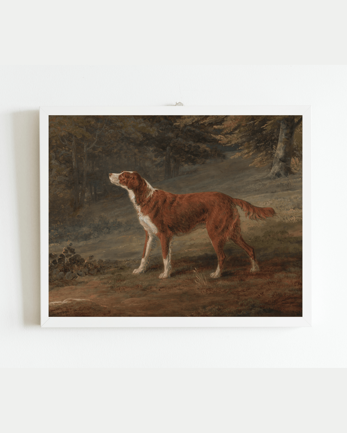 
                  
                    Ranger the Setter Hound Antique Art Print - Curated Home Decor
                  
                
