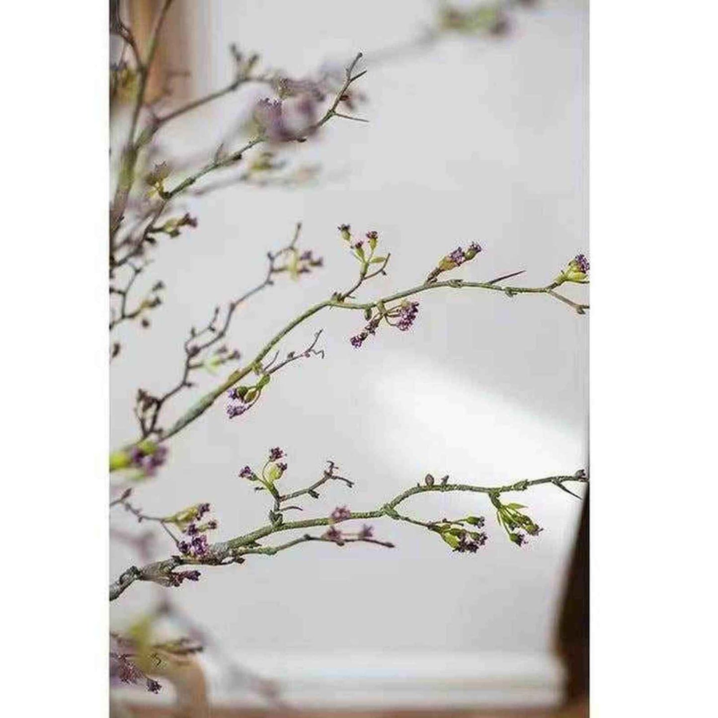 
                  
                    Long Weigela Flower Stem 63" Tall: White / One Stem - Curated Home Decor
                  
                