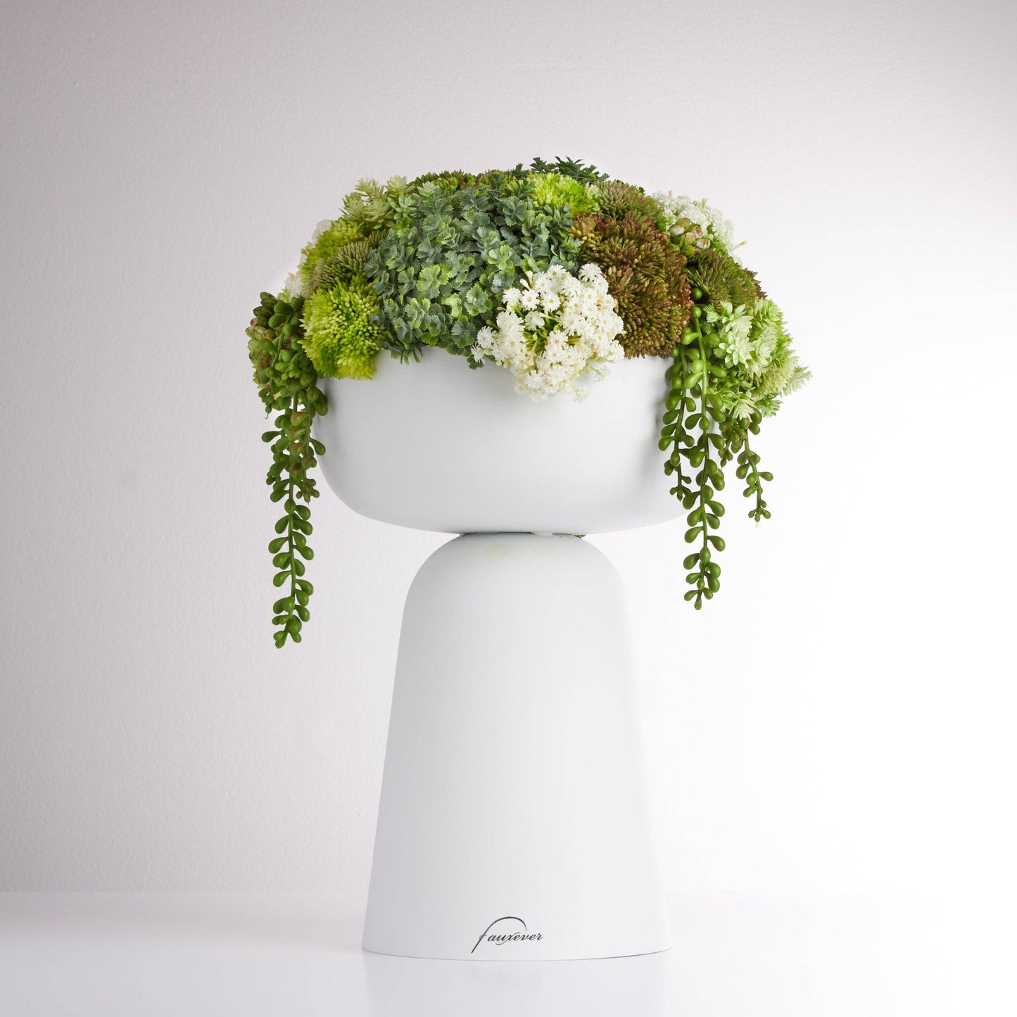 
                  
                    Elevate Sedum Green - White - Curated Home Decor
                  
                