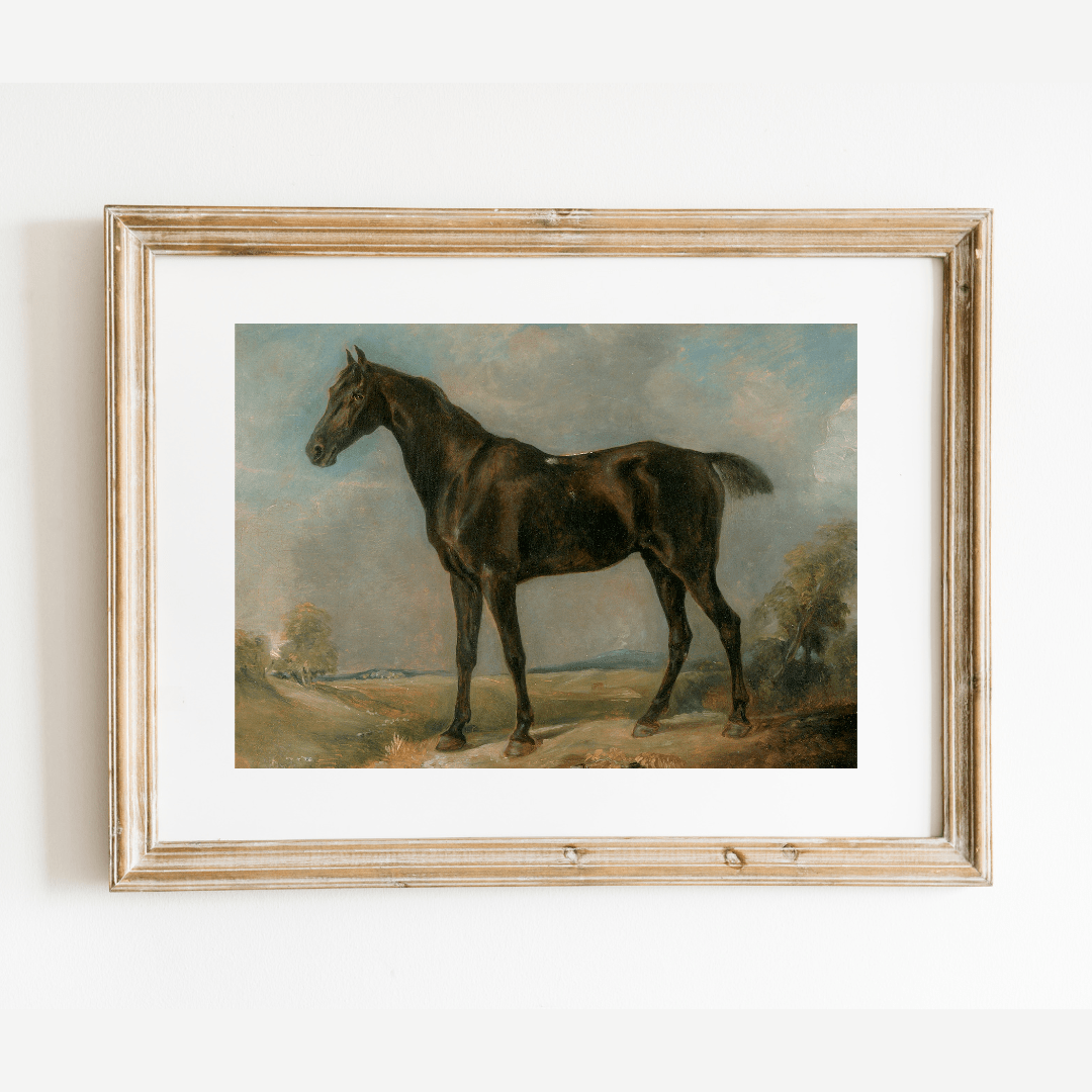 
                  
                    Black Riding Horse Antique Art Print - Curated Home Decor
                  
                
