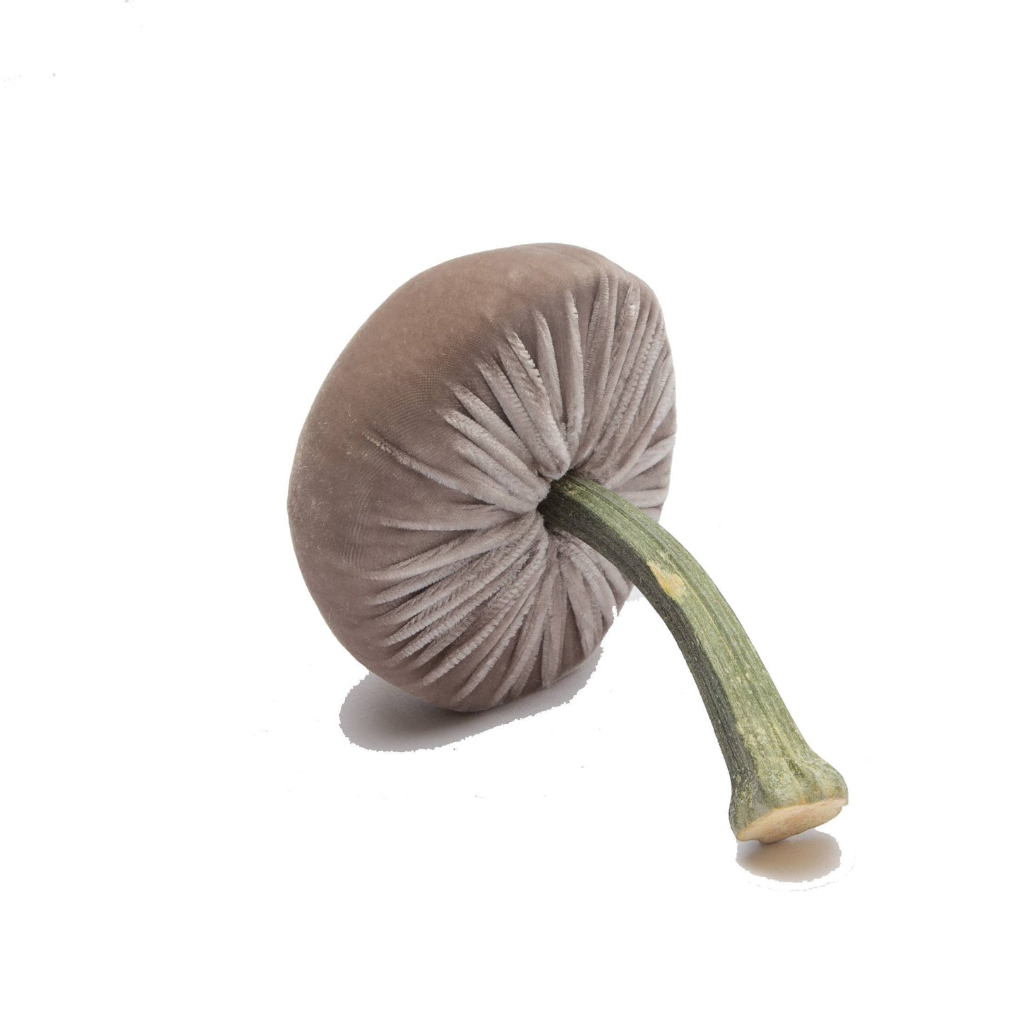 
                  
                    Small Putty – 3"
                  
                