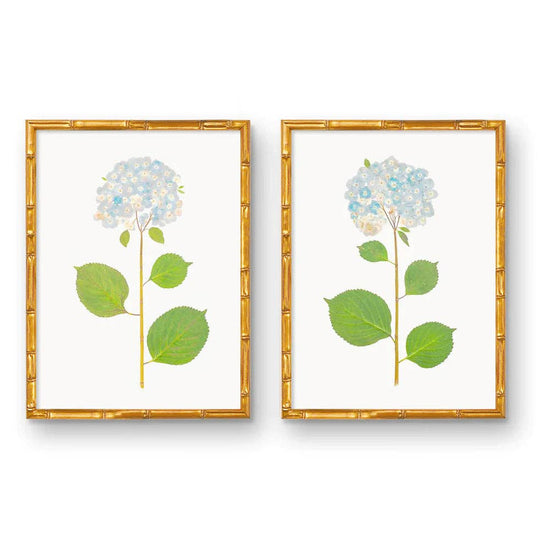 Live Hydrangea Pair of Prints - Curated Home Decor