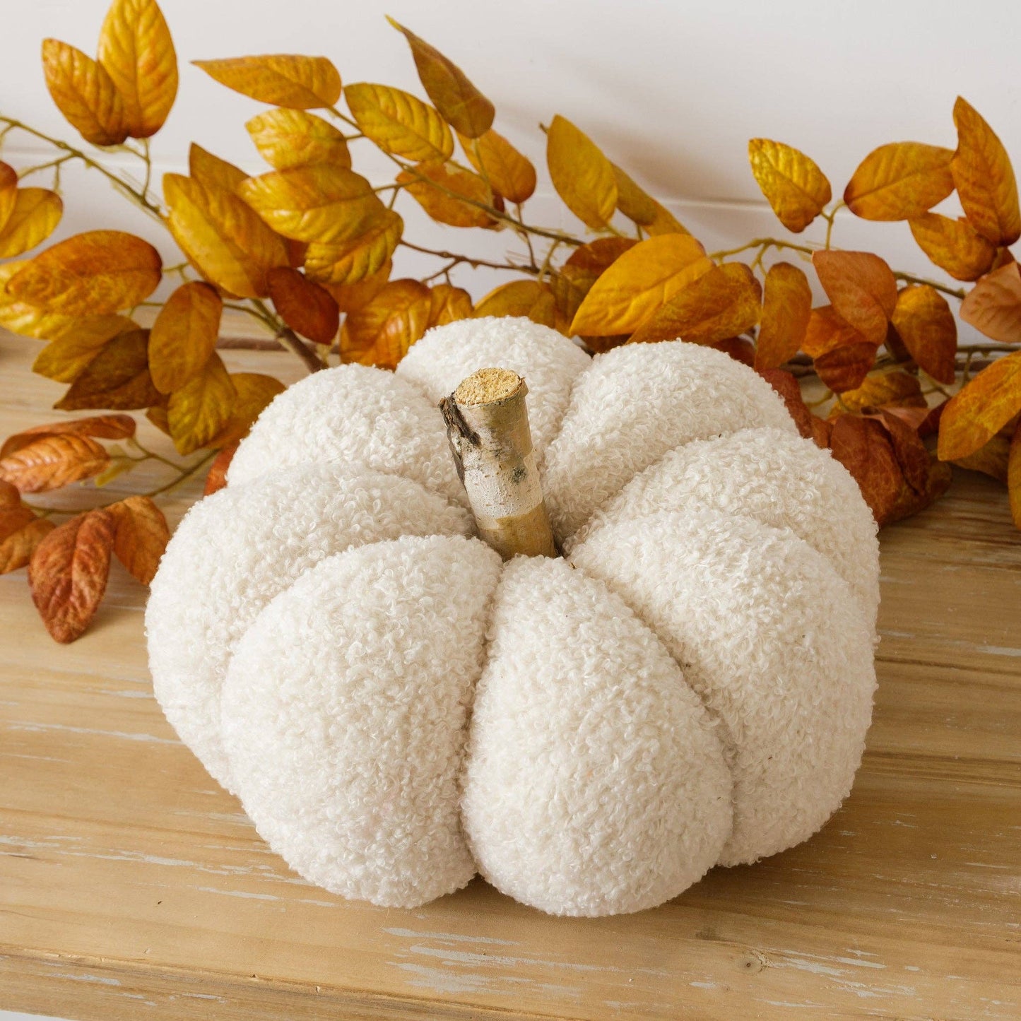 Cream Cozy Pumpkin with birch stem decoration on wooden surface with autumn leaves background