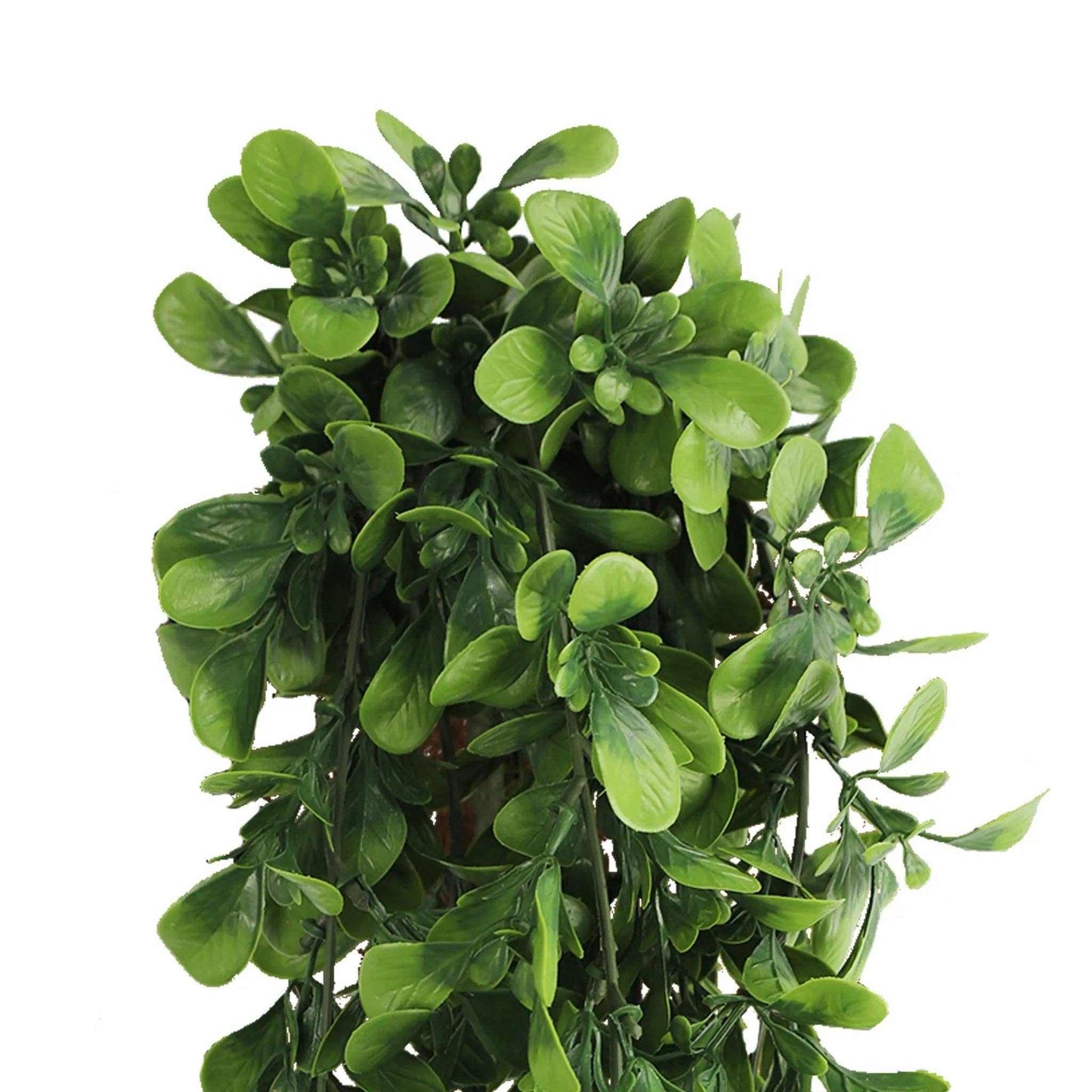 
                  
                    Artificial Creeping Fig Garland (UV Resistant + Fire Rated) - Curated Home Decor
                  
                