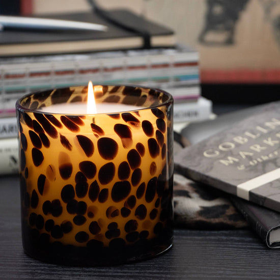 Cassis Vanilla Amber Tortoise Soy Blend Candle