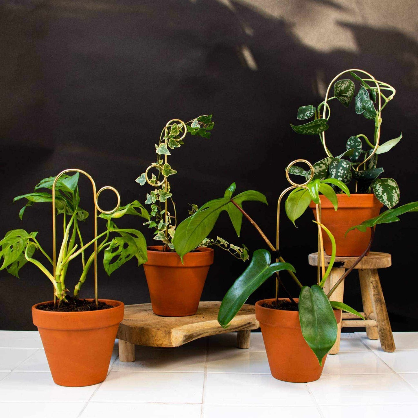 
                  
                    Mini Gold Plant Stake from rust - proof metal - Pompom - Curated Home Decor
                  
                