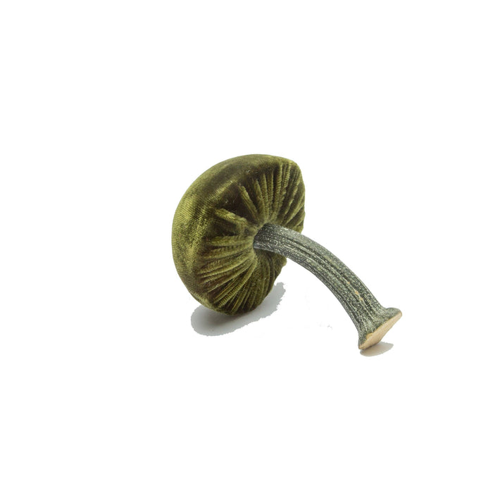 Silk Velvet Mushroom
