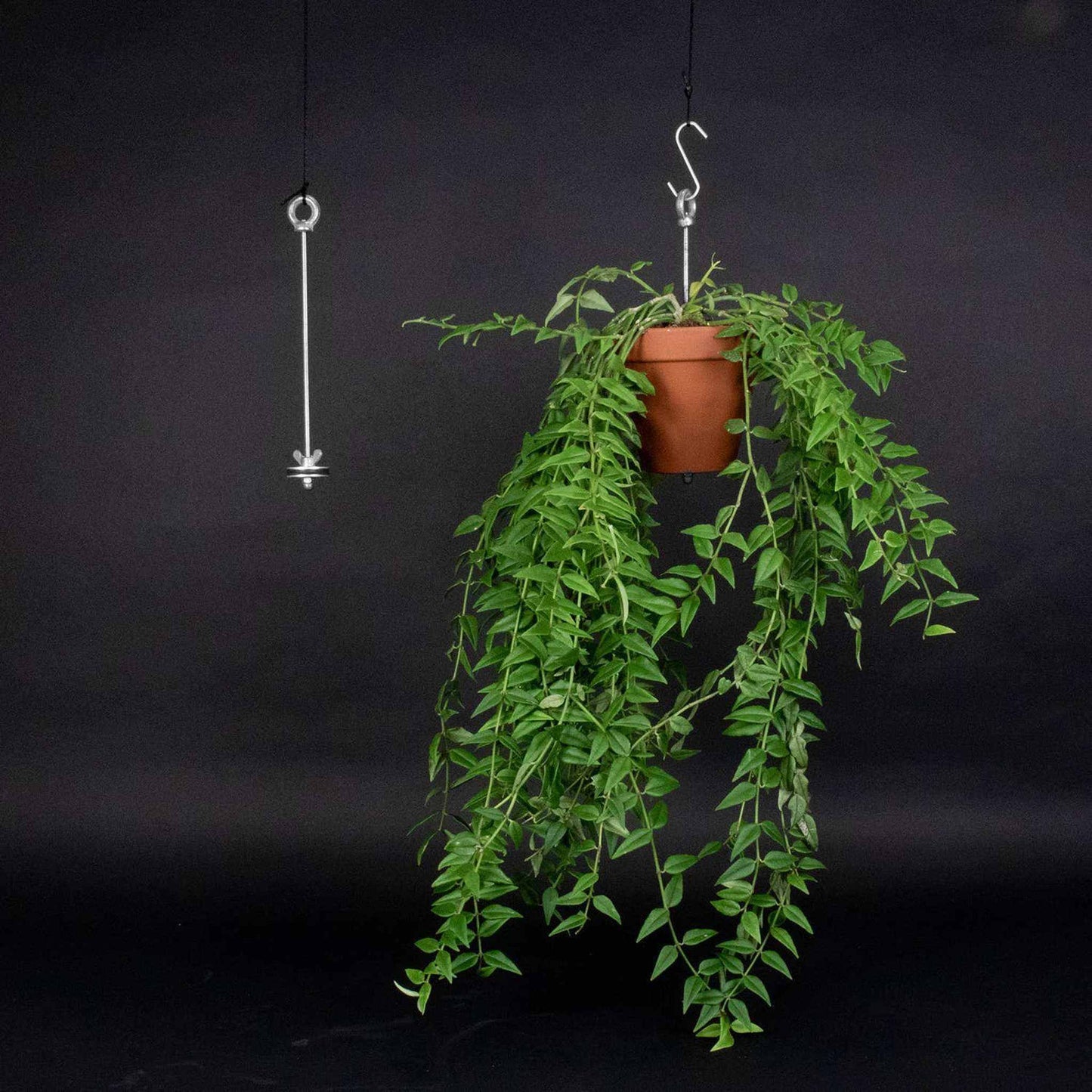 
                  
                    Bolty – Hanging planter system for plant pots - Curated Home Decor
                  
                