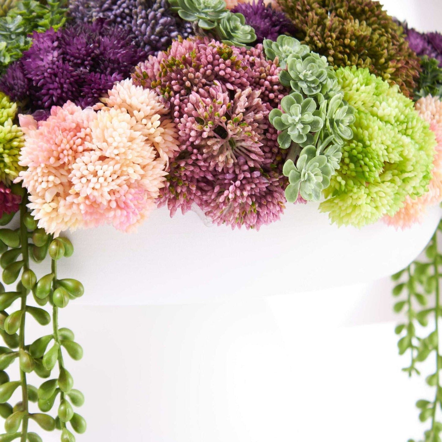 
                  
                    Elevate Sedum - Wide - Curated Home Decor
                  
                