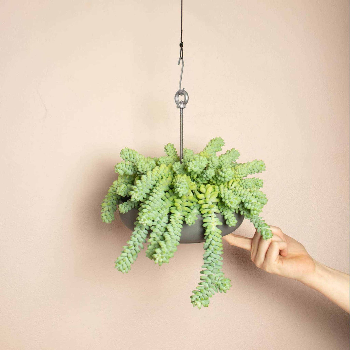 
                  
                    Bolty – Hanging planter system for plant pots - Curated Home Decor
                  
                