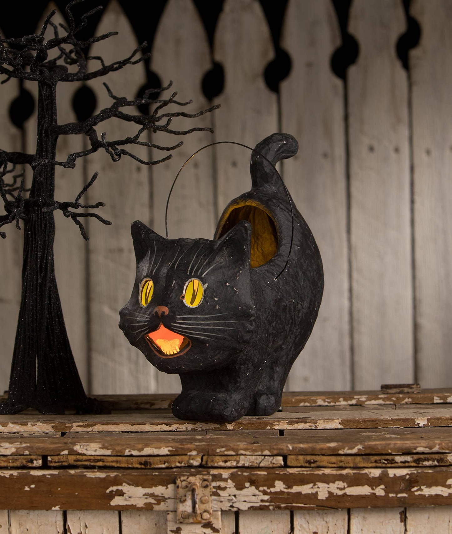 Scaredy Sassy Cat Bucket - Curated Home Decor