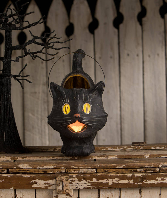 Scaredy Sassy Cat Bucket - Curated Home Decor