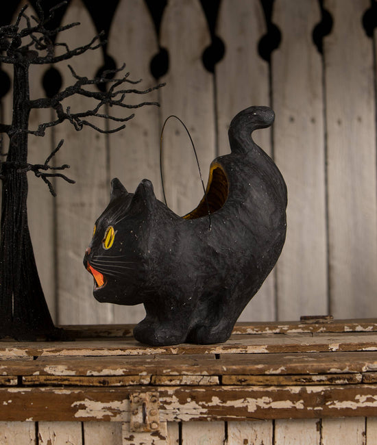 Scaredy Sassy Cat Bucket - Curated Home Decor