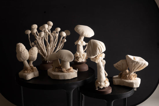 Enoki Mushroom Sculpture - Curated Home Decor