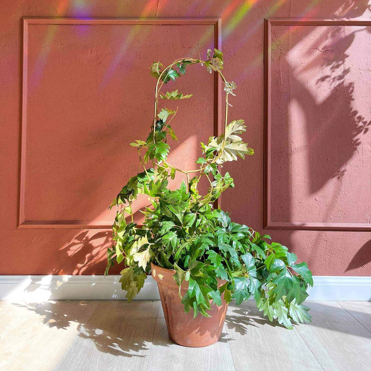 
                  
                    Gold Metal Plant Stake – Arch - Curated Home Decor
                  
                