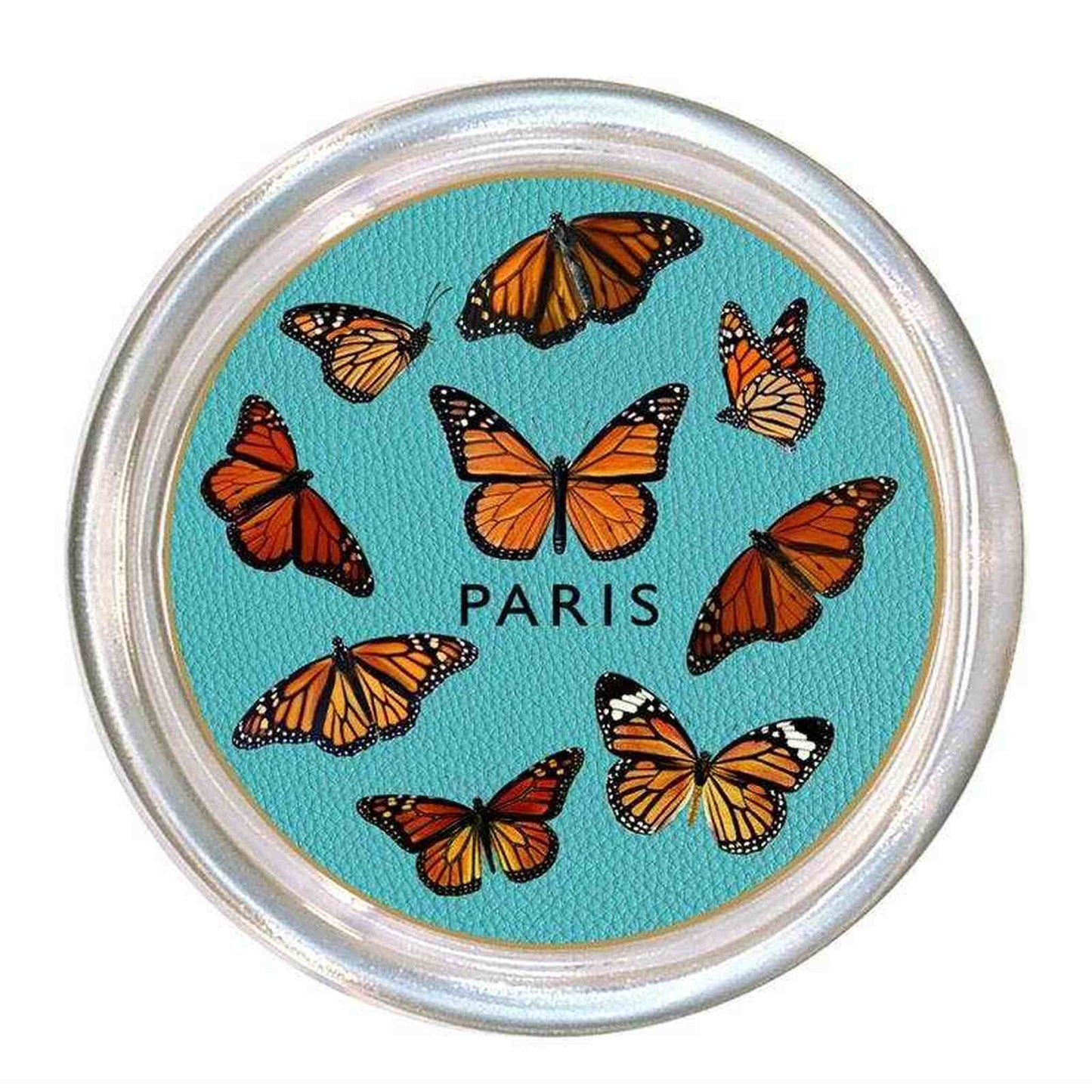 
                  
                    Paris Monarch Turquoise Coaster - Curated Home Decor
                  
                