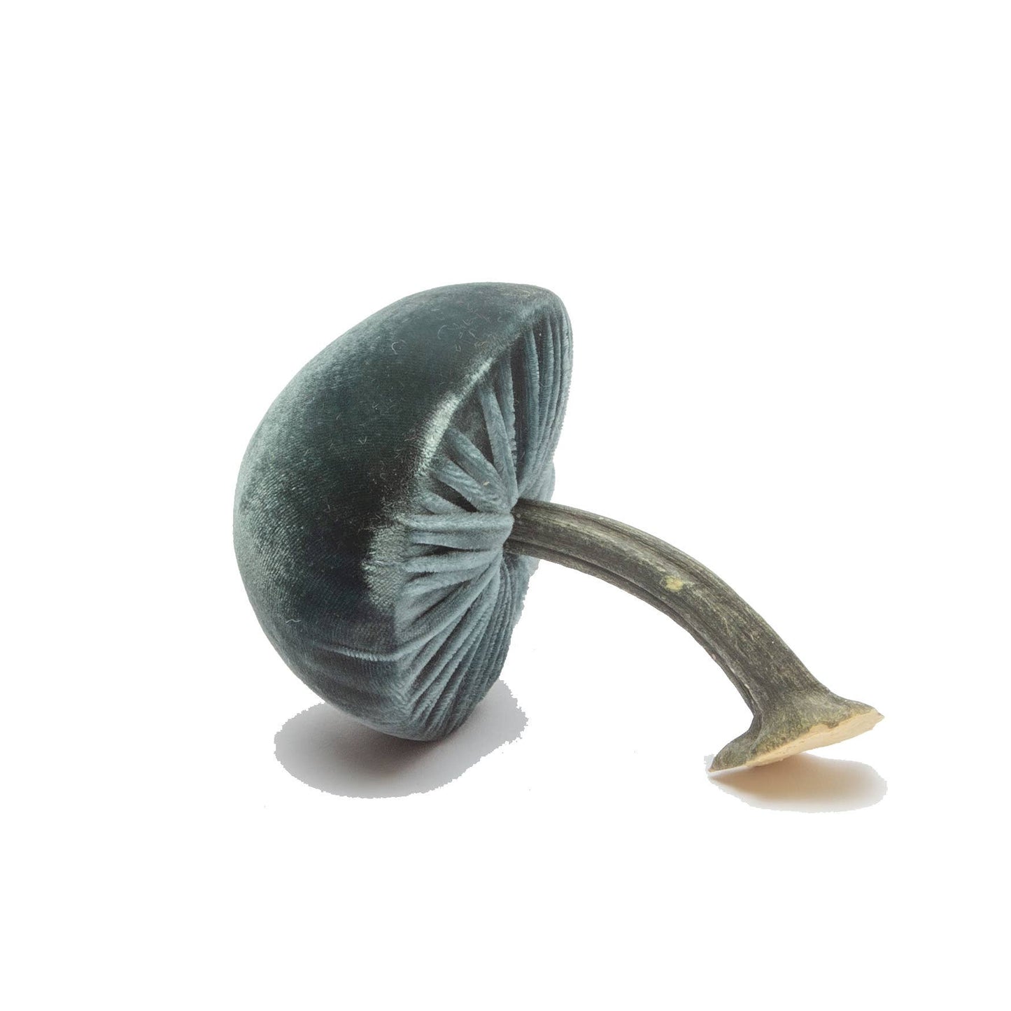 
                  
                    Small Wedgewood – 3"
                  
                