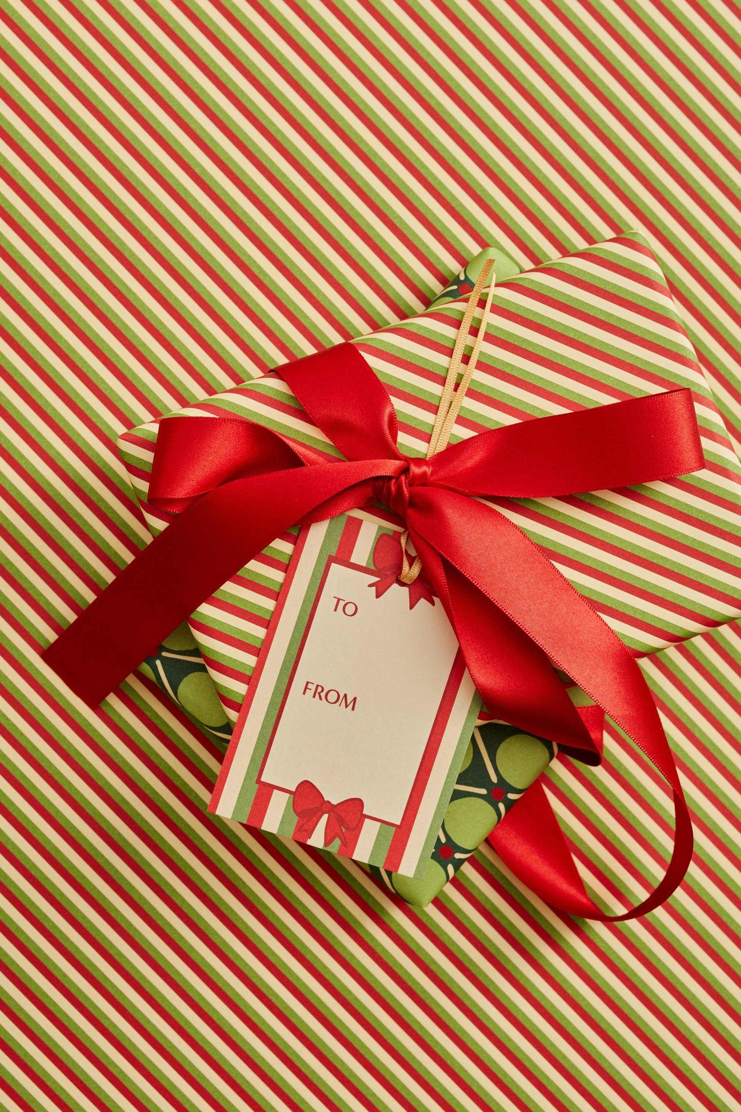 Set of 8 festive gift tags with holly and ribbon borders on wrapped present