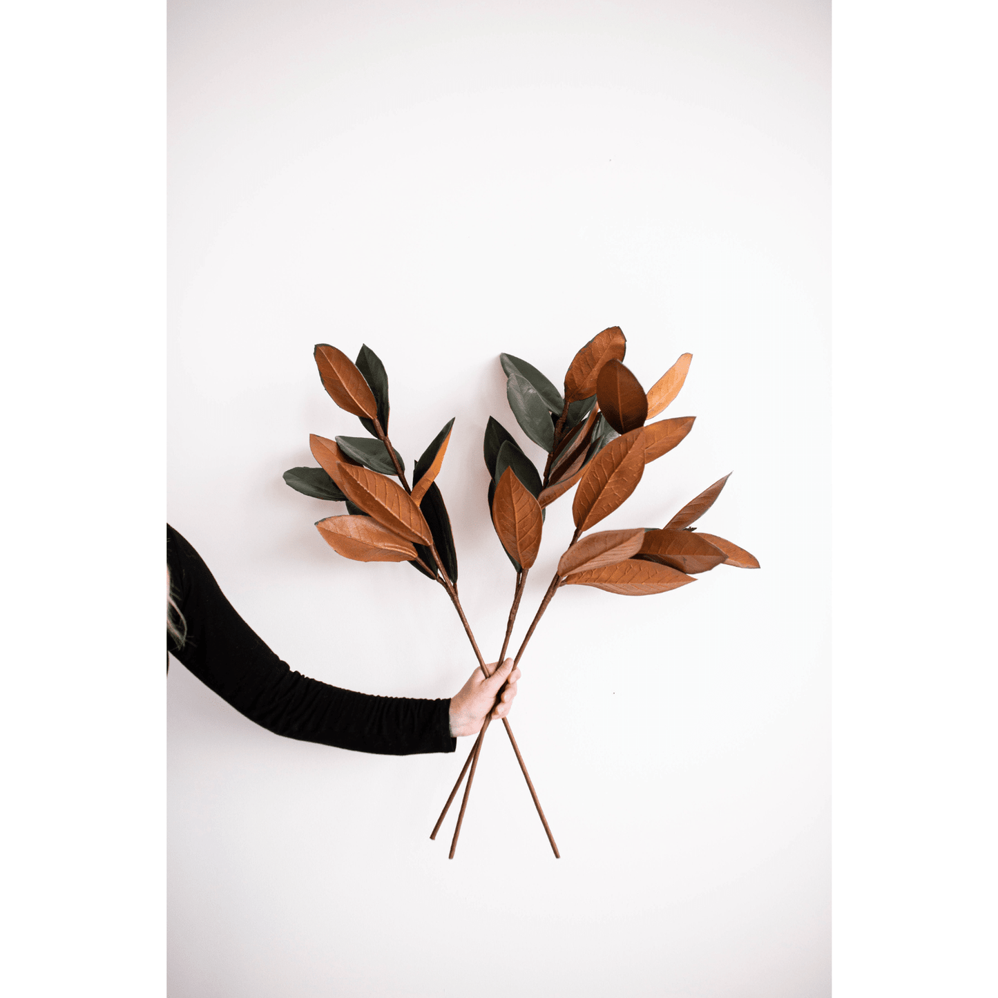 
                  
                    Magnolia Faux Leaves: Large - Curated Home Decor
                  
                