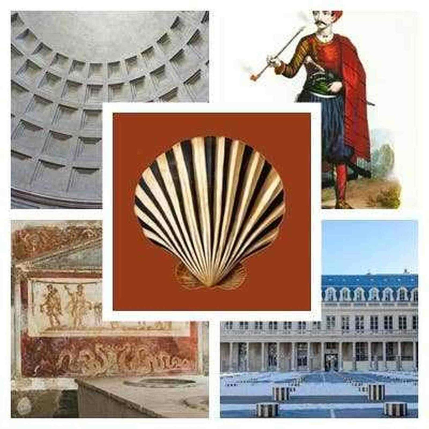 Bold scallop shell illustration in aged gilded wood frame on sienna background, fine art print pack