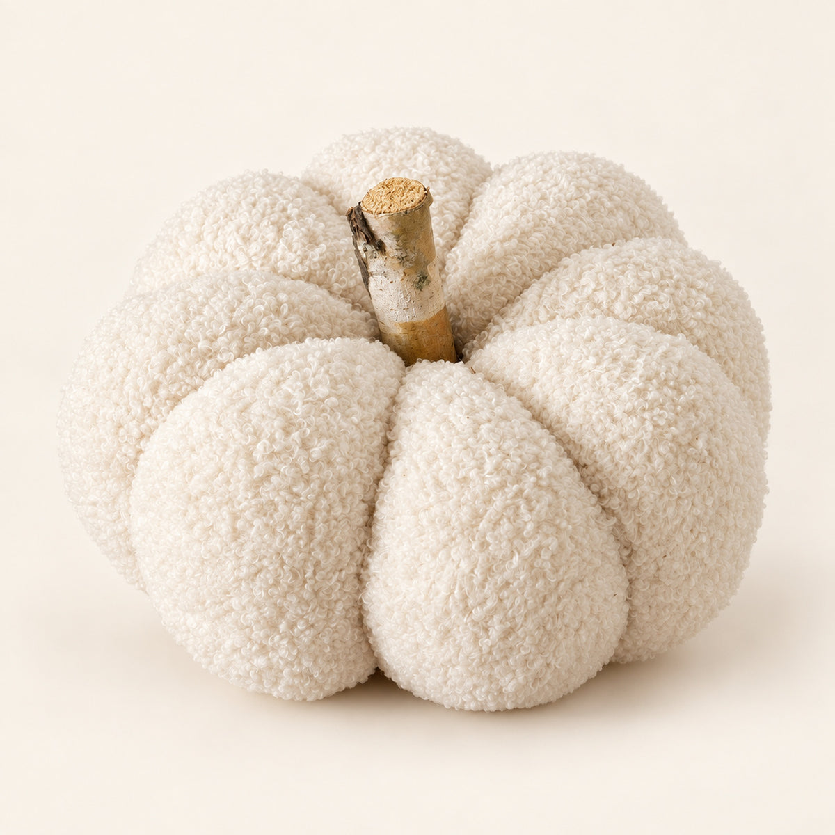 
                  
                    Cream Bouclé Pumpkin with Birch Stem - Curated Home Decor
                  
                