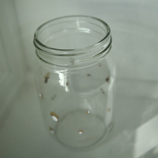 Lil Summer Shrooms Mason Jar - Curated Home Decor