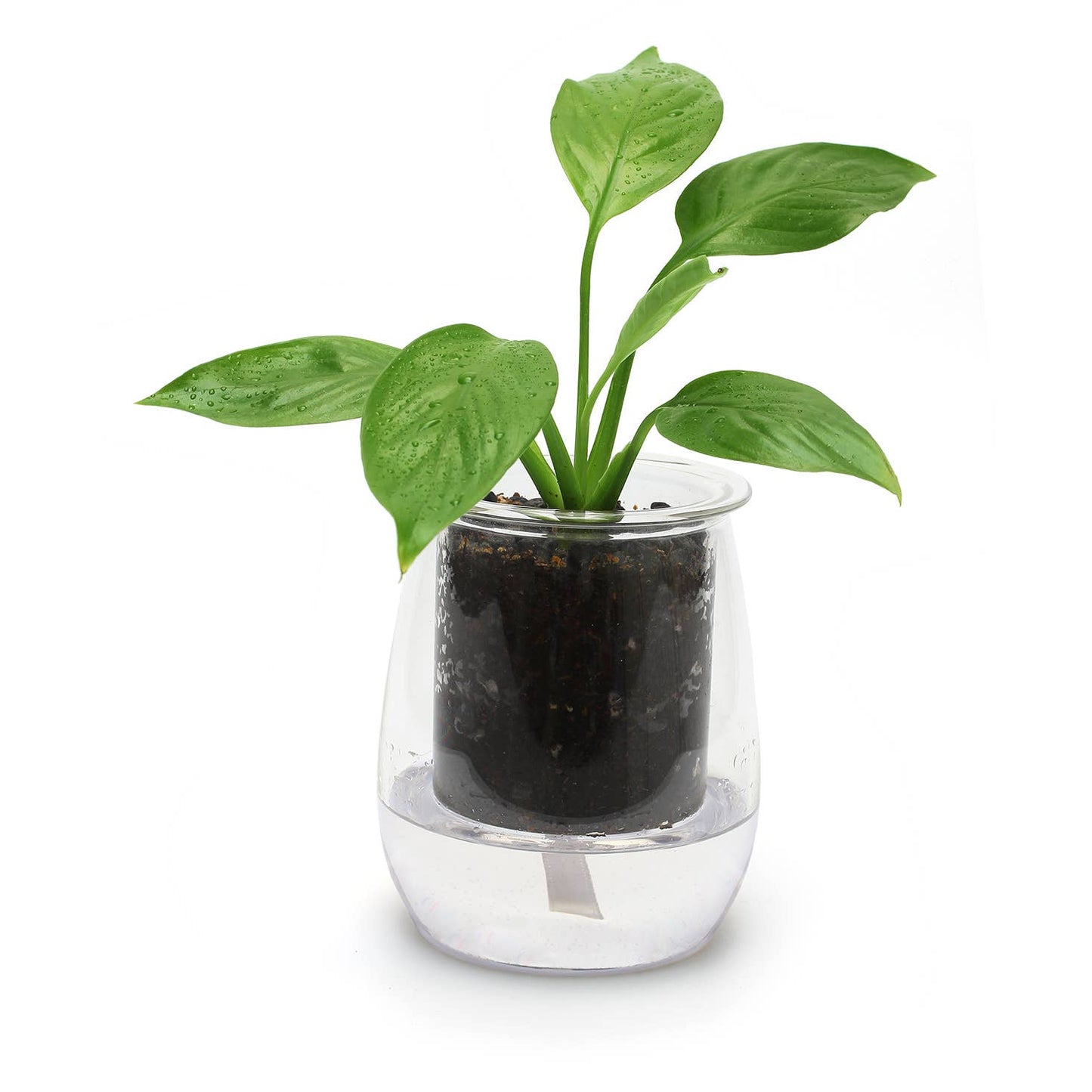 Mini Self-Watering Planter - Curated Home Decor