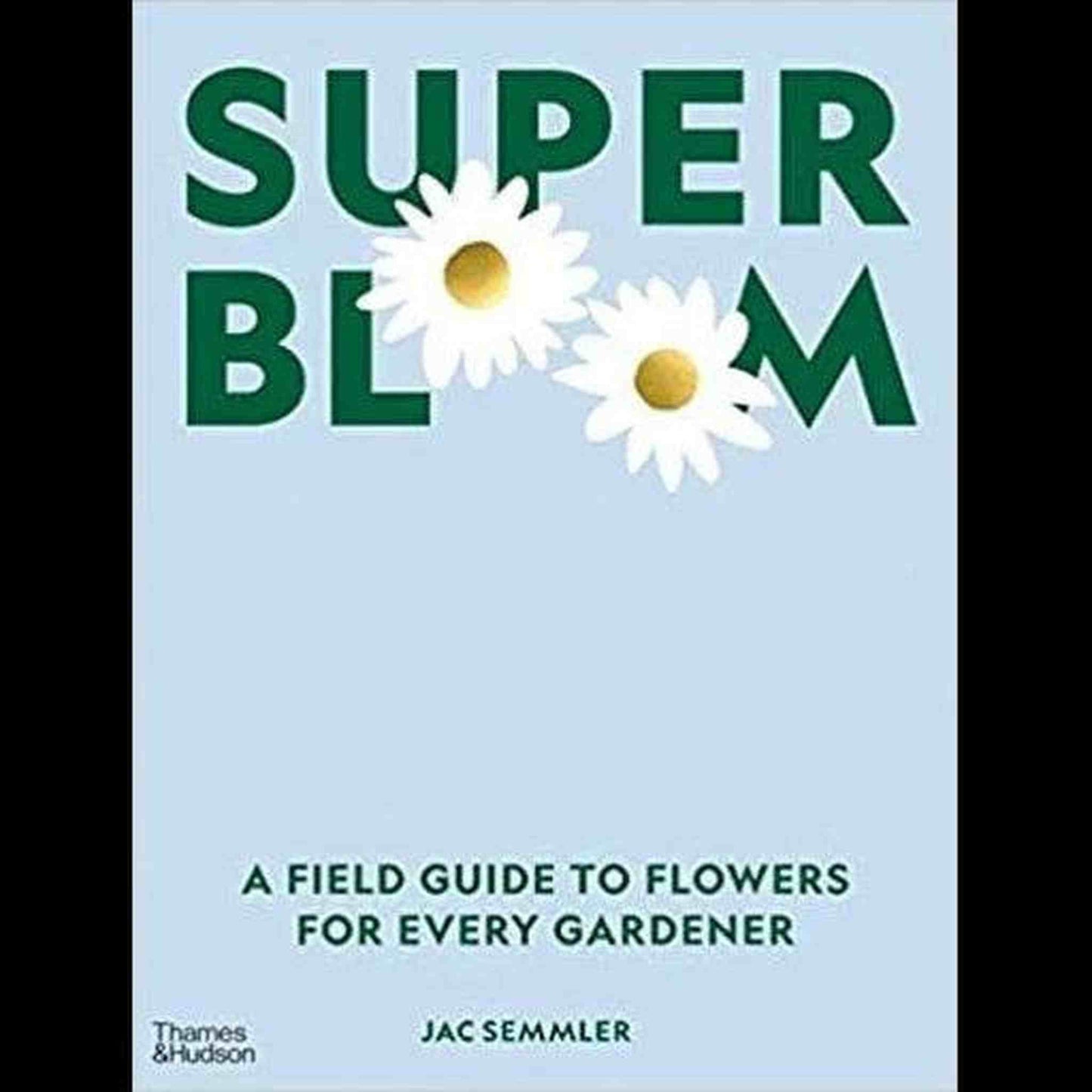 Super Bloom book cover with daisies and gardening guide text