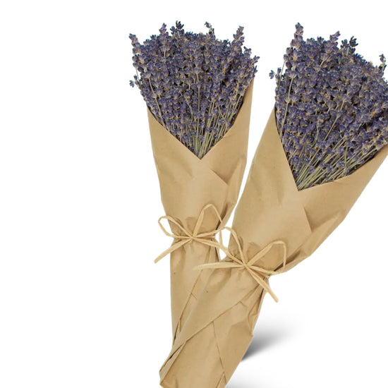 Dried Lavender Flowers Bunches Dry Lavender - Curated Home Decor