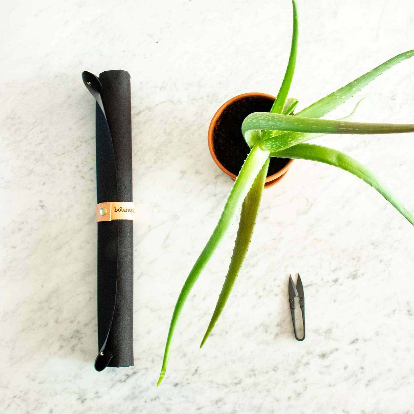
                  
                    Potting tarp for urban gardening: Vegan black ribbon - Curated Home Decor
                  
                