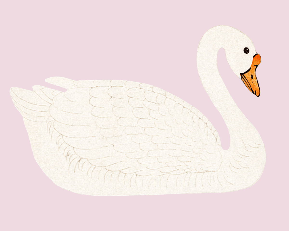 
                  
                    A Swan Antique Art Print (Pink) - Curated Home Decor
                  
                