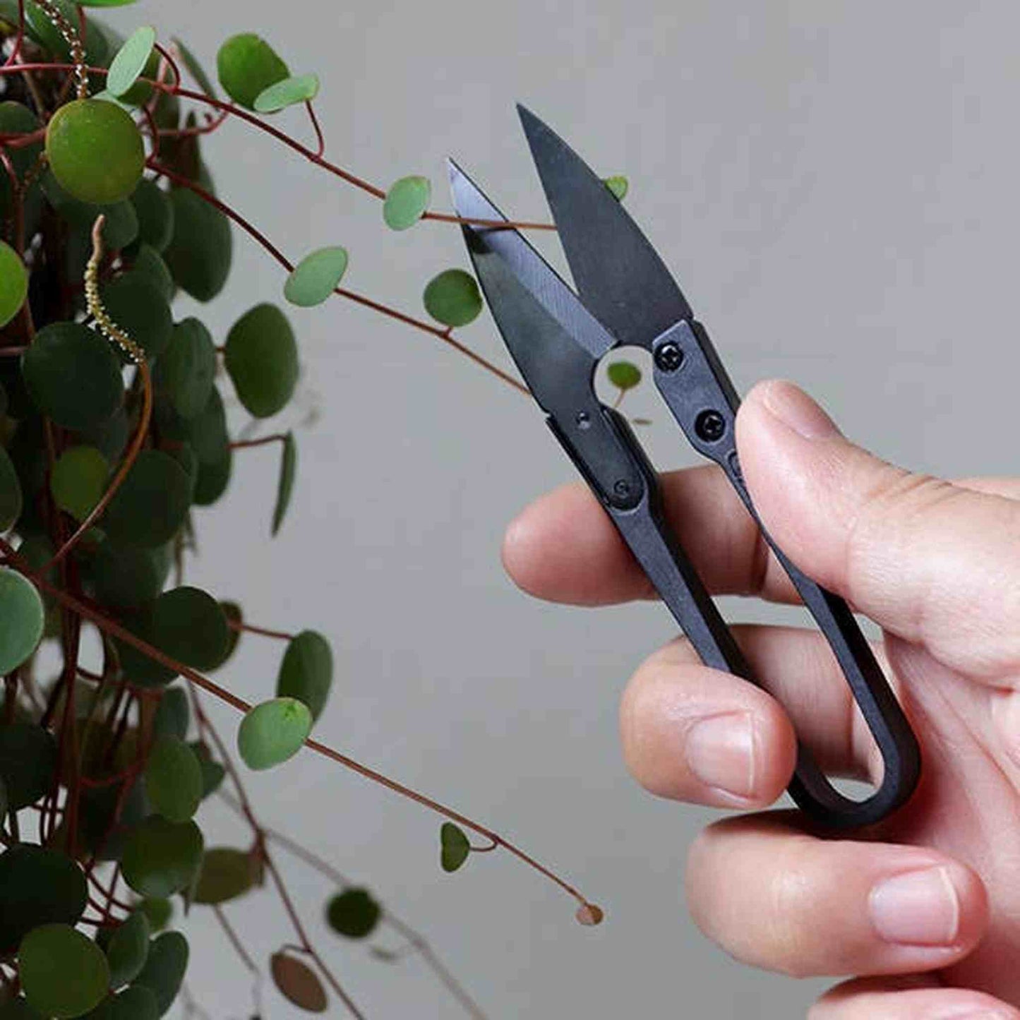 The Good Snips bonsai pruning shears with ergonomic carbon steel blades for precise gardening and household cutting tasks