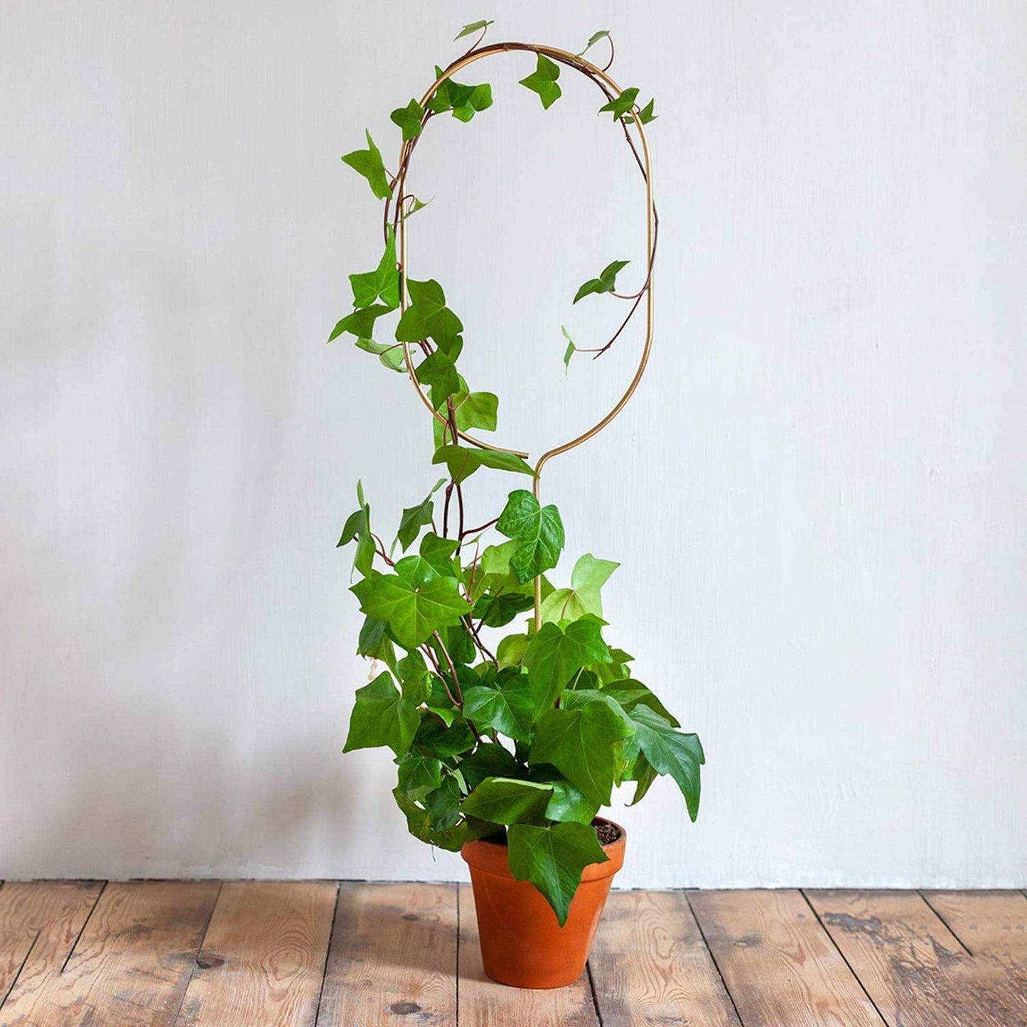 
                  
                    Gold Metal Plant Stake – Arch - Curated Home Decor
                  
                