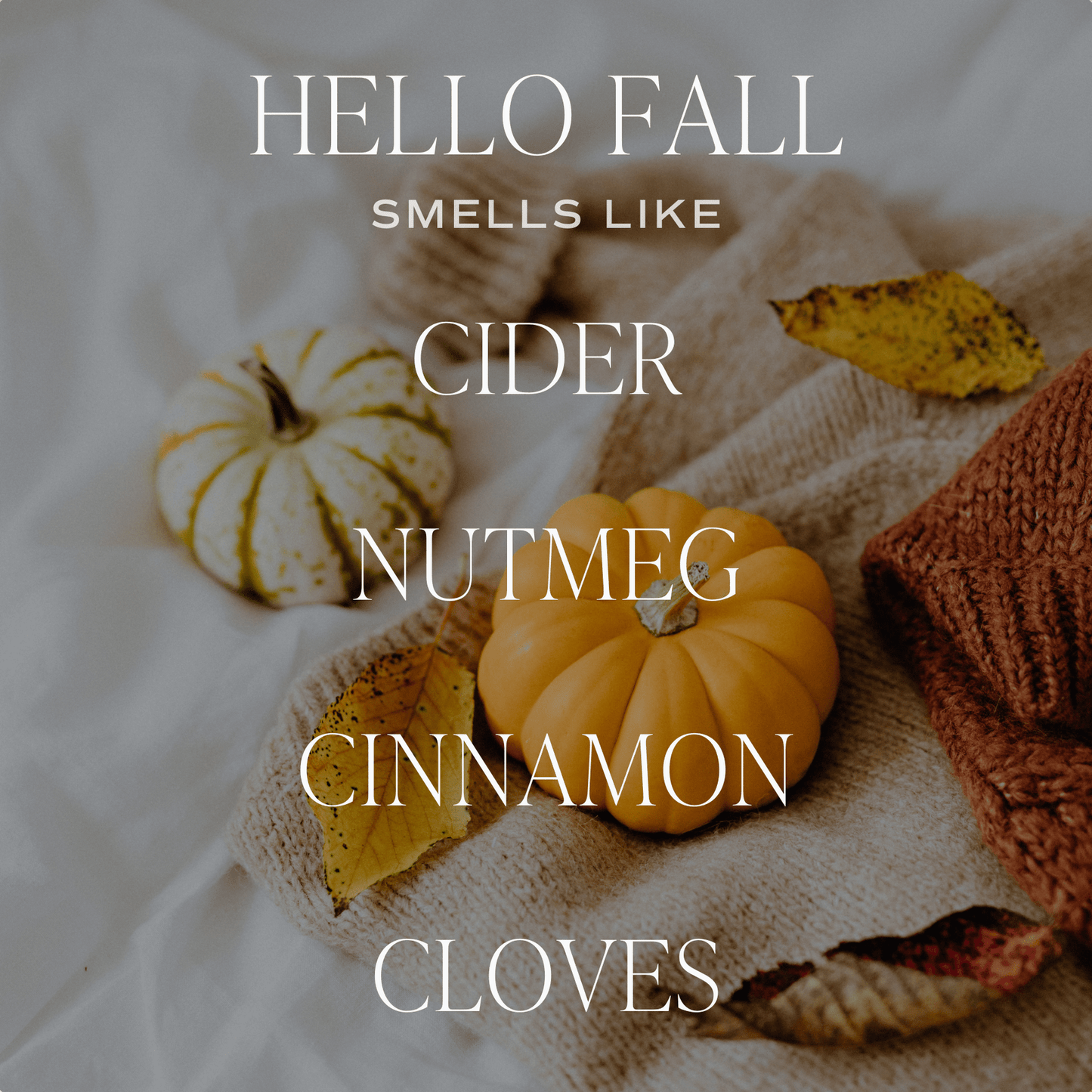 Hello Fall reed diffuser with warm cider, nutmeg, cinnamon, and cloves scent for cozy autumn decor