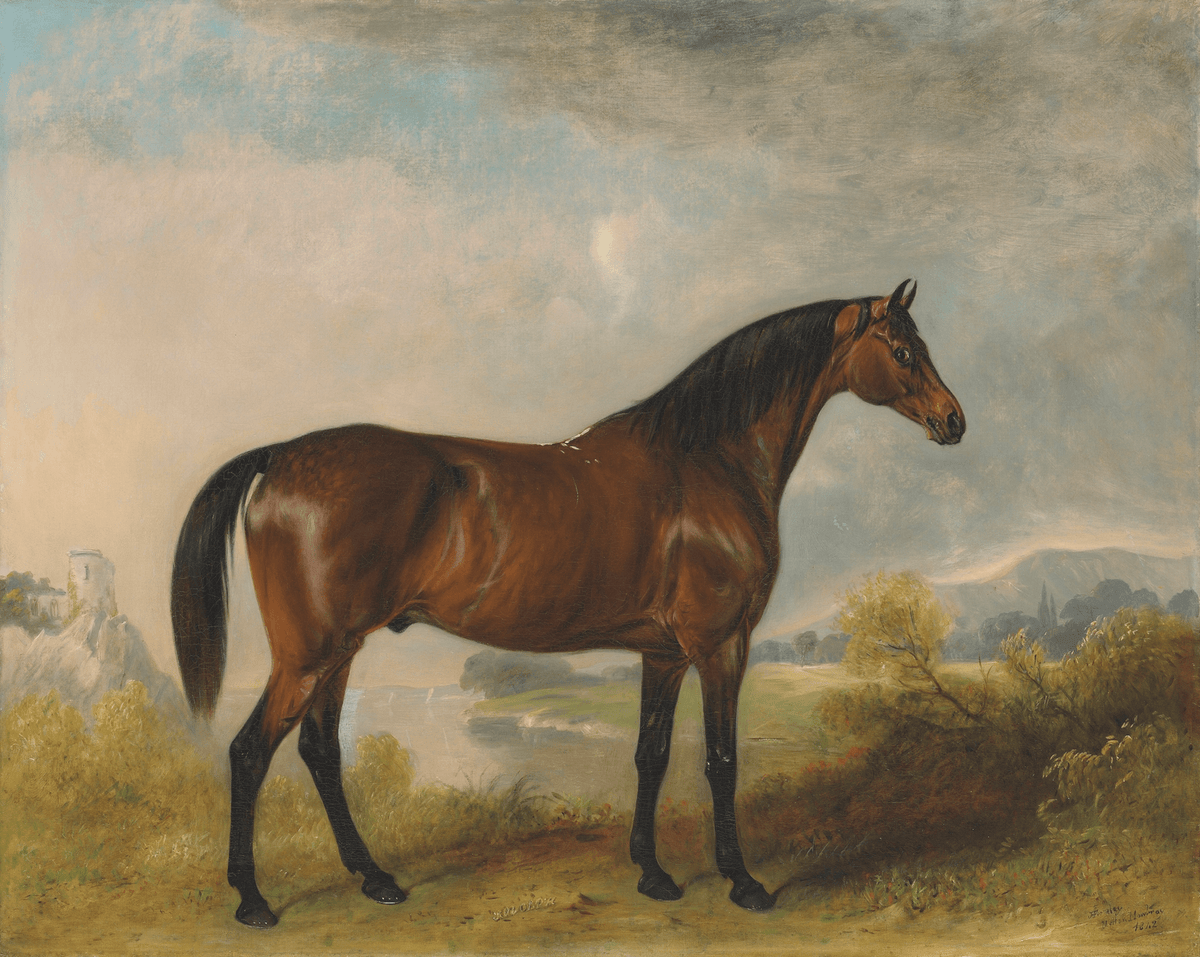 
                  
                    Bay Horse in a Field Antique Art Print: 5x7 - Curated Home Decor
                  
                