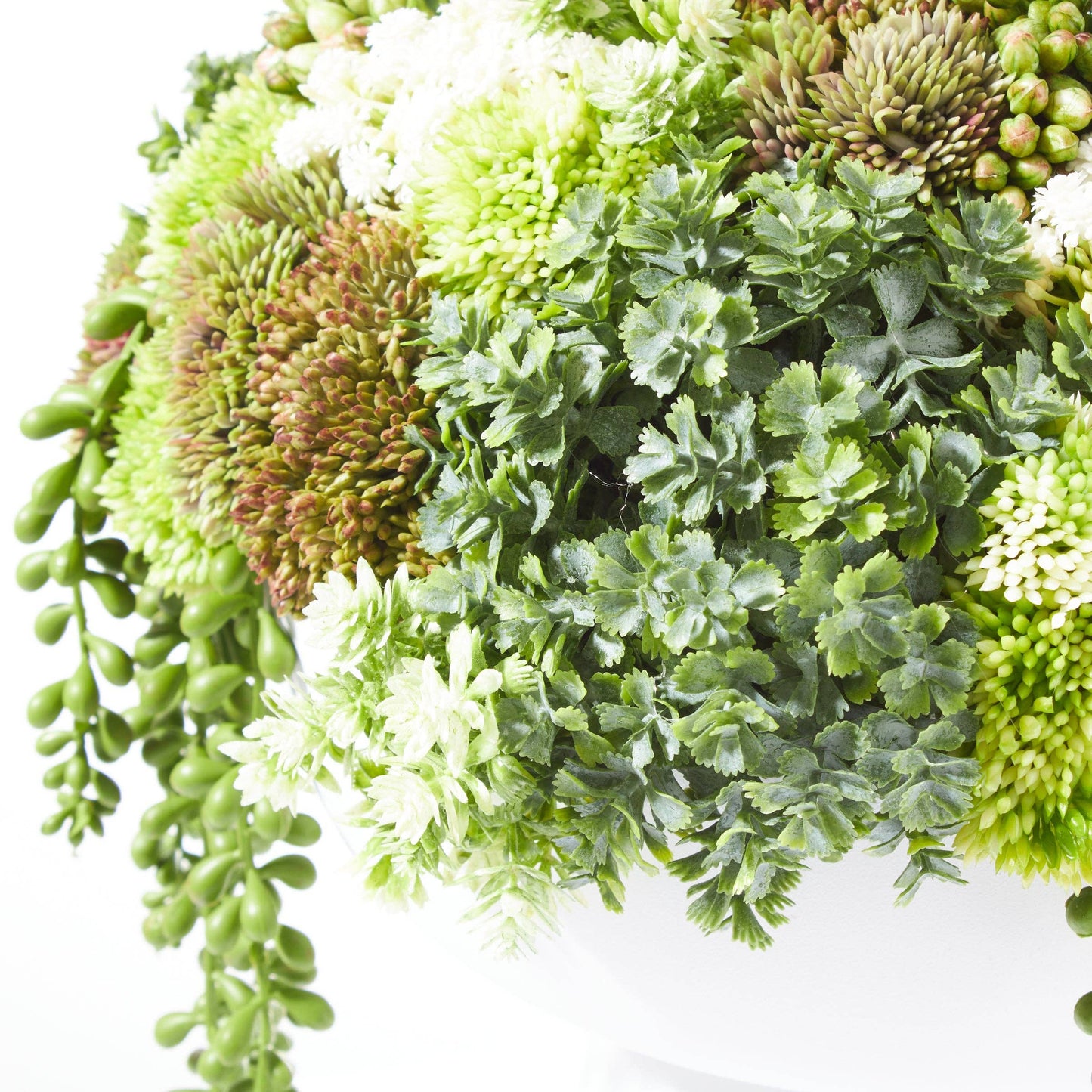 
                  
                    Elevate Sedum Green - White - Curated Home Decor
                  
                