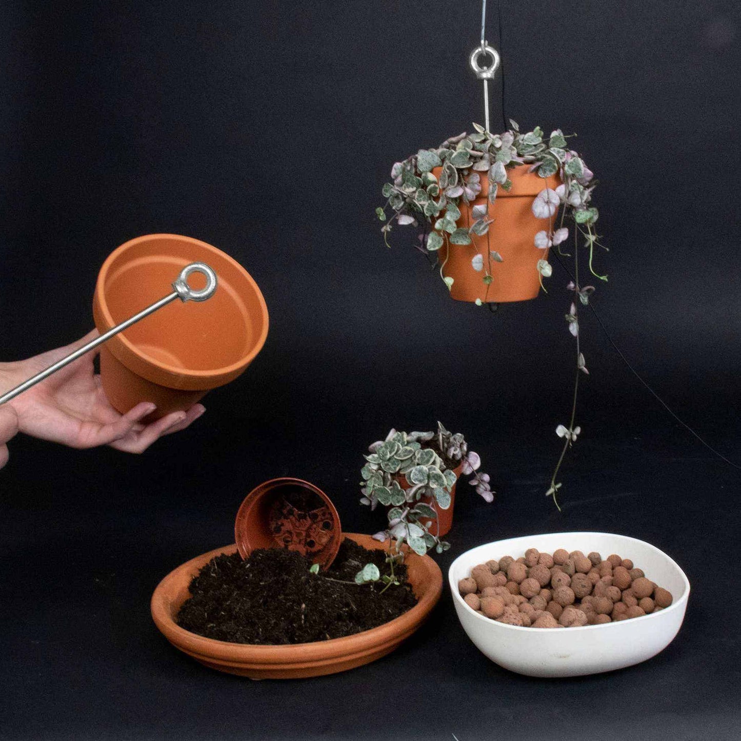 
                  
                    Bolty – Hanging planter system for plant pots - Curated Home Decor
                  
                