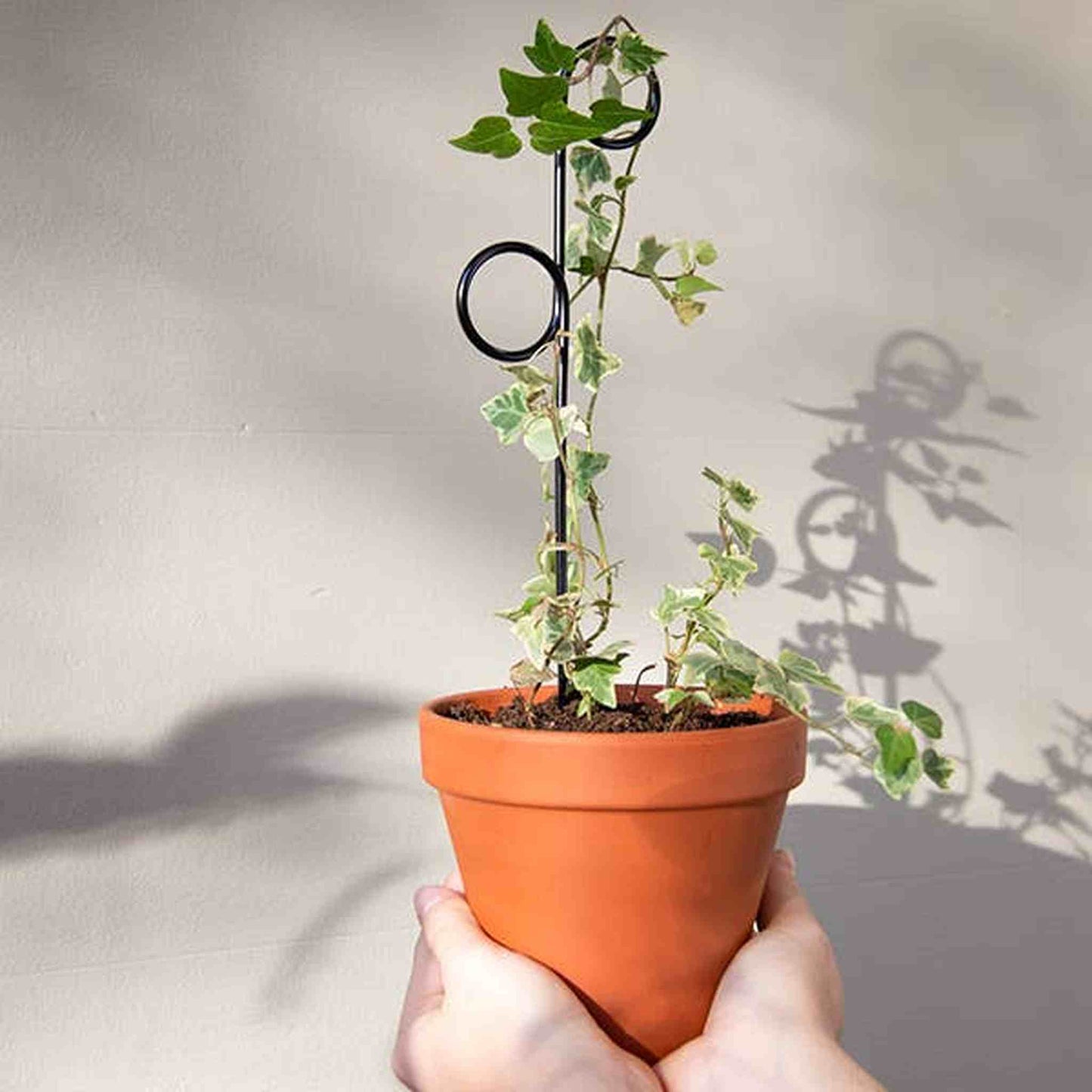 
                  
                    Set of 4 Mini Plant Stakes: Black - Curated Home Decor
                  
                
