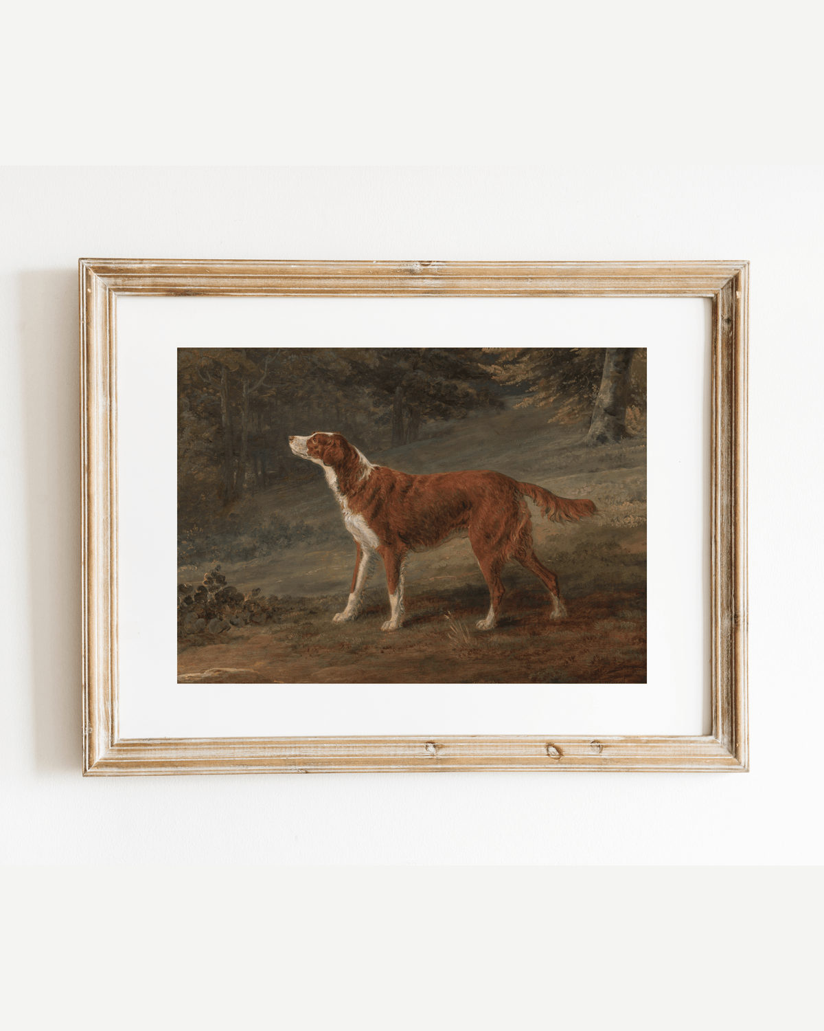 
                  
                    Ranger the Setter Hound Antique Art Print - Curated Home Decor
                  
                