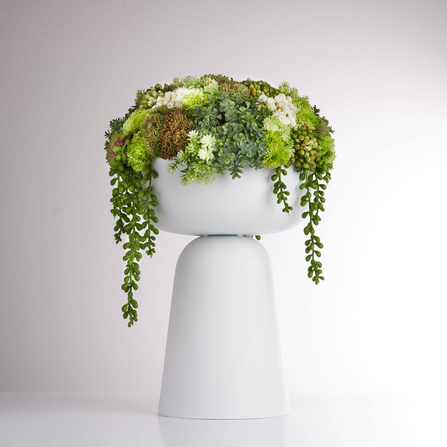 
                  
                    Elevate Sedum Green - White - Curated Home Decor
                  
                