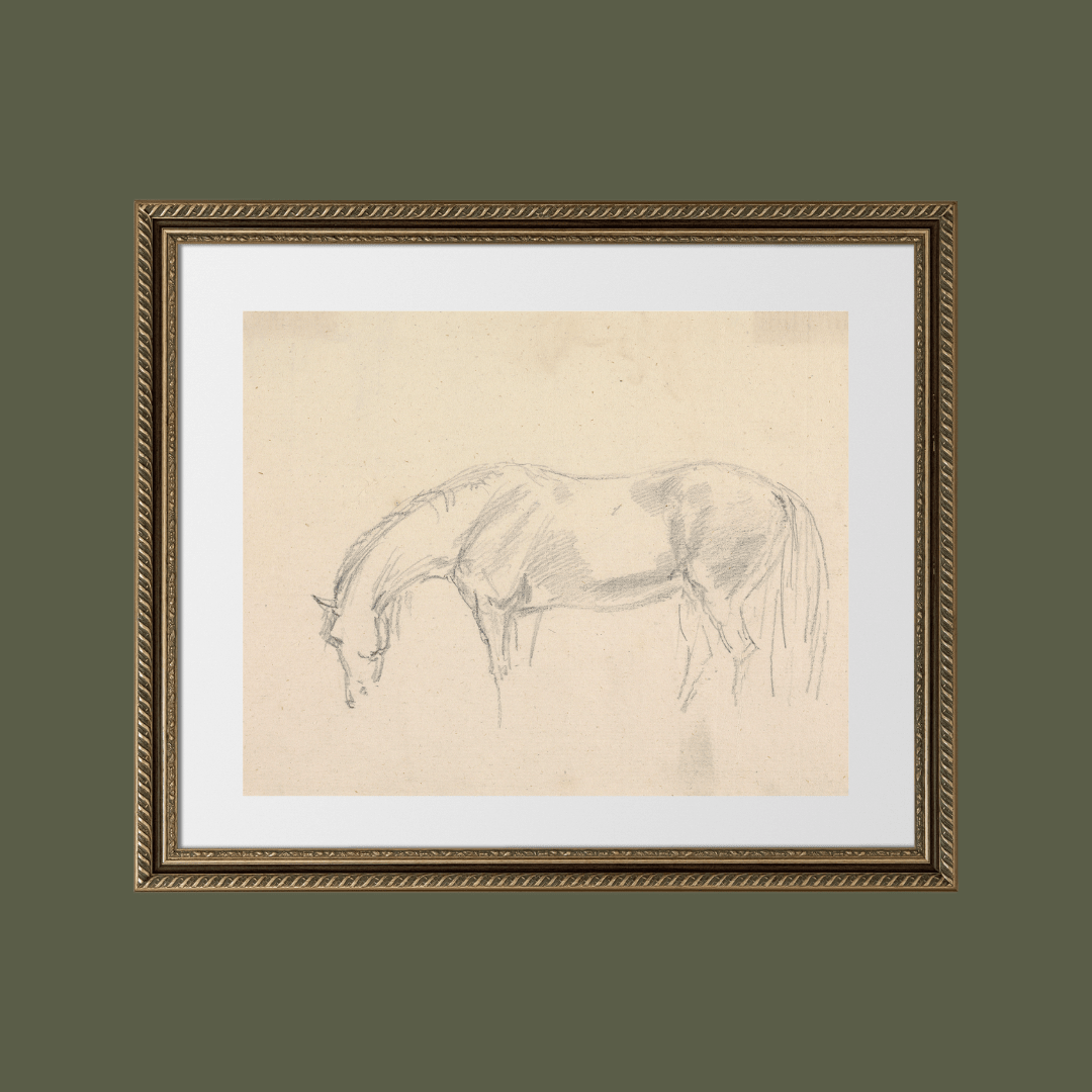 
                  
                    A Horse Grazing Sketch Antique Art Print: 5x7 - Curated Home Decor
                  
                