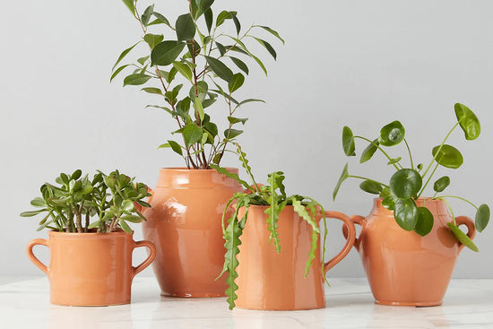 Terracotta Italian Olive Jar Planter - Curated Home Decor