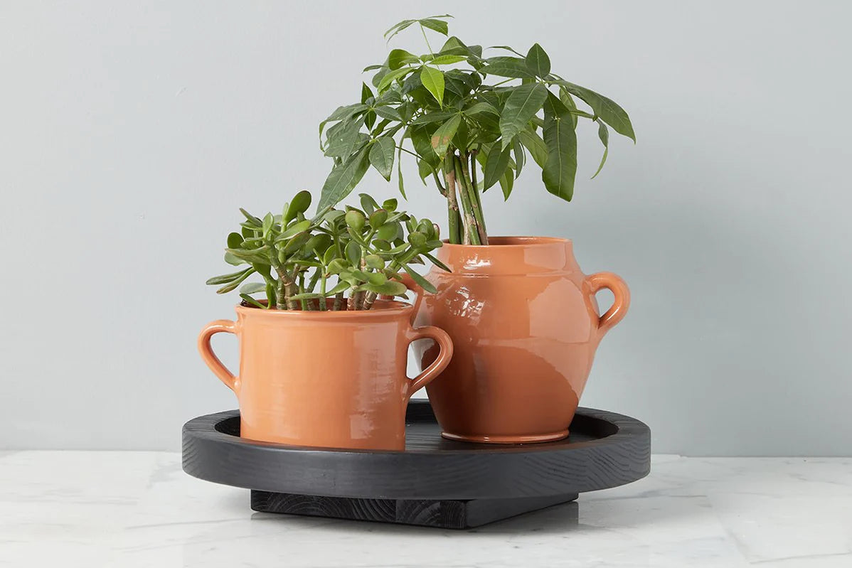 Terracotta Italian Olive Jar Planter - Curated Home Decor