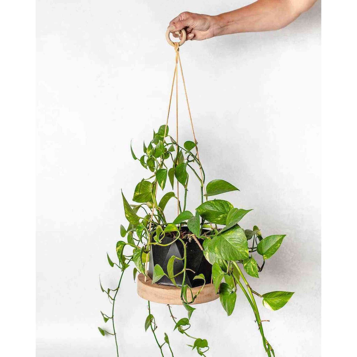 
                  
                    Reclaimed White Oak Round Plant Hanger with Leather Straps - Curated Home Decor
                  
                