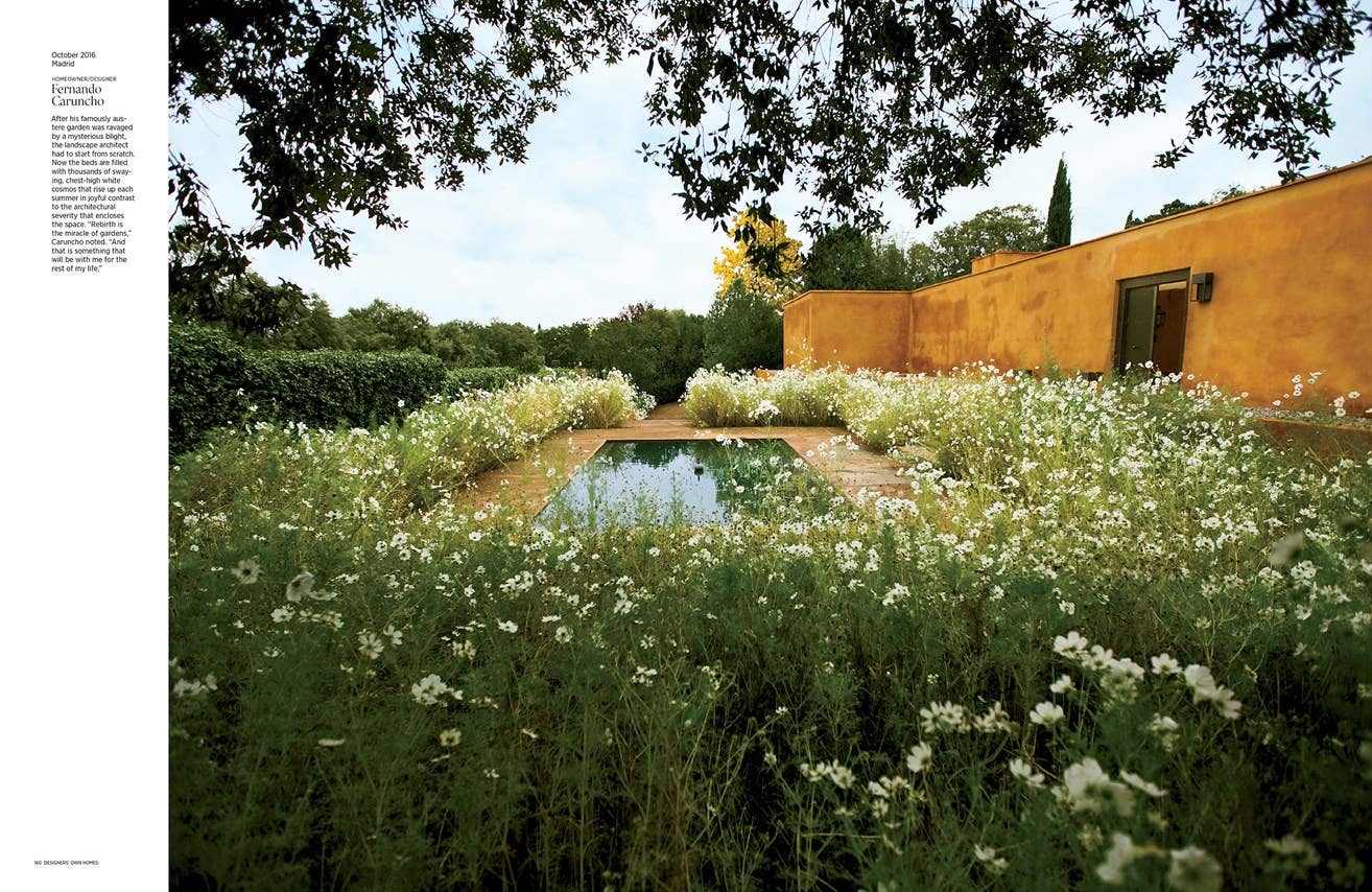 
                  
                    Architectural Digest at 100: The Collector's Edition - Curated Home Decor
                  
                