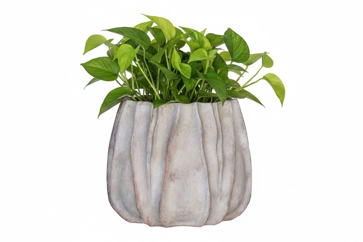 
                  
                    Concrete Lucid Planter - Curated Home Decor
                  
                