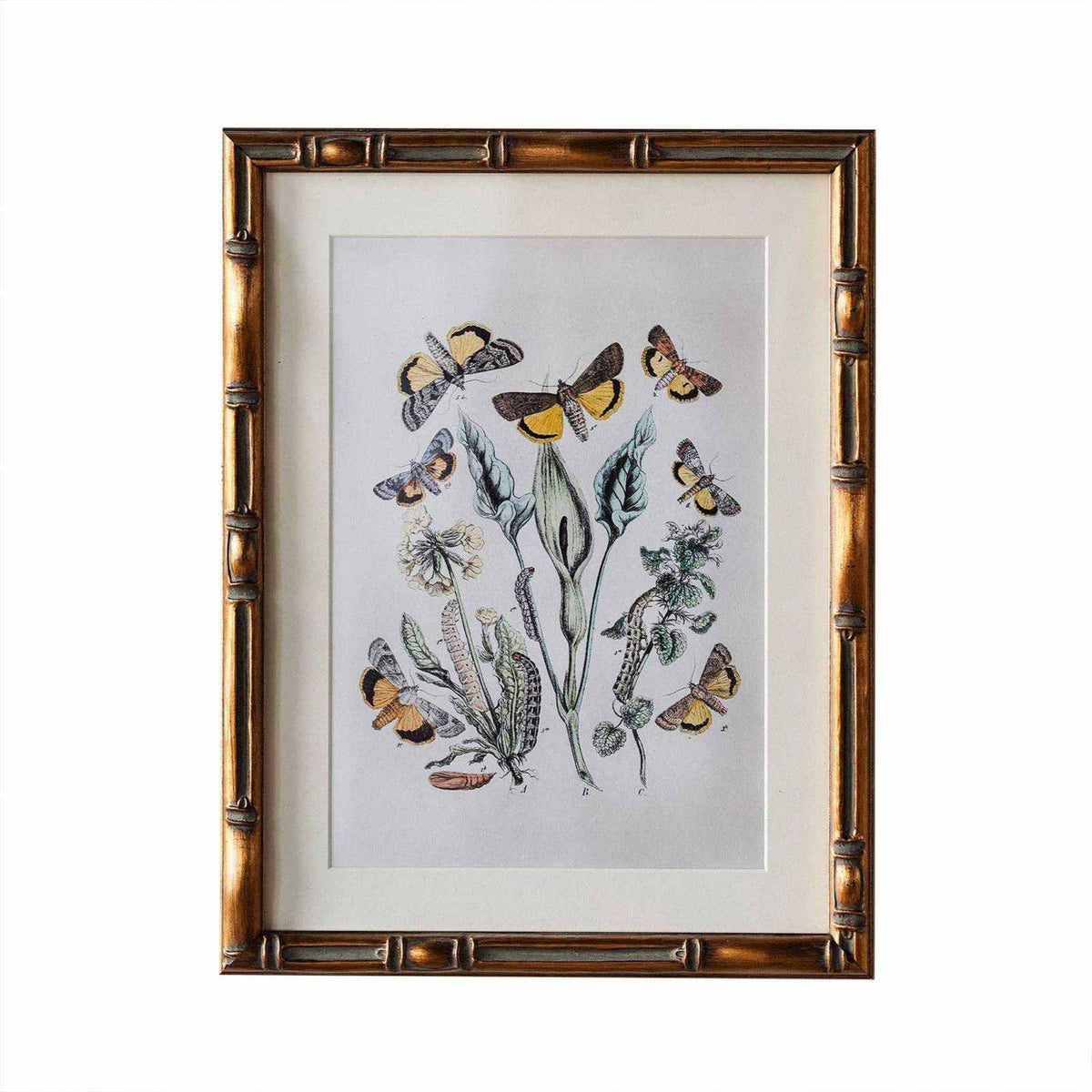 
                  
                    Burnley Matted Frame - Curated Home Decor
                  
                