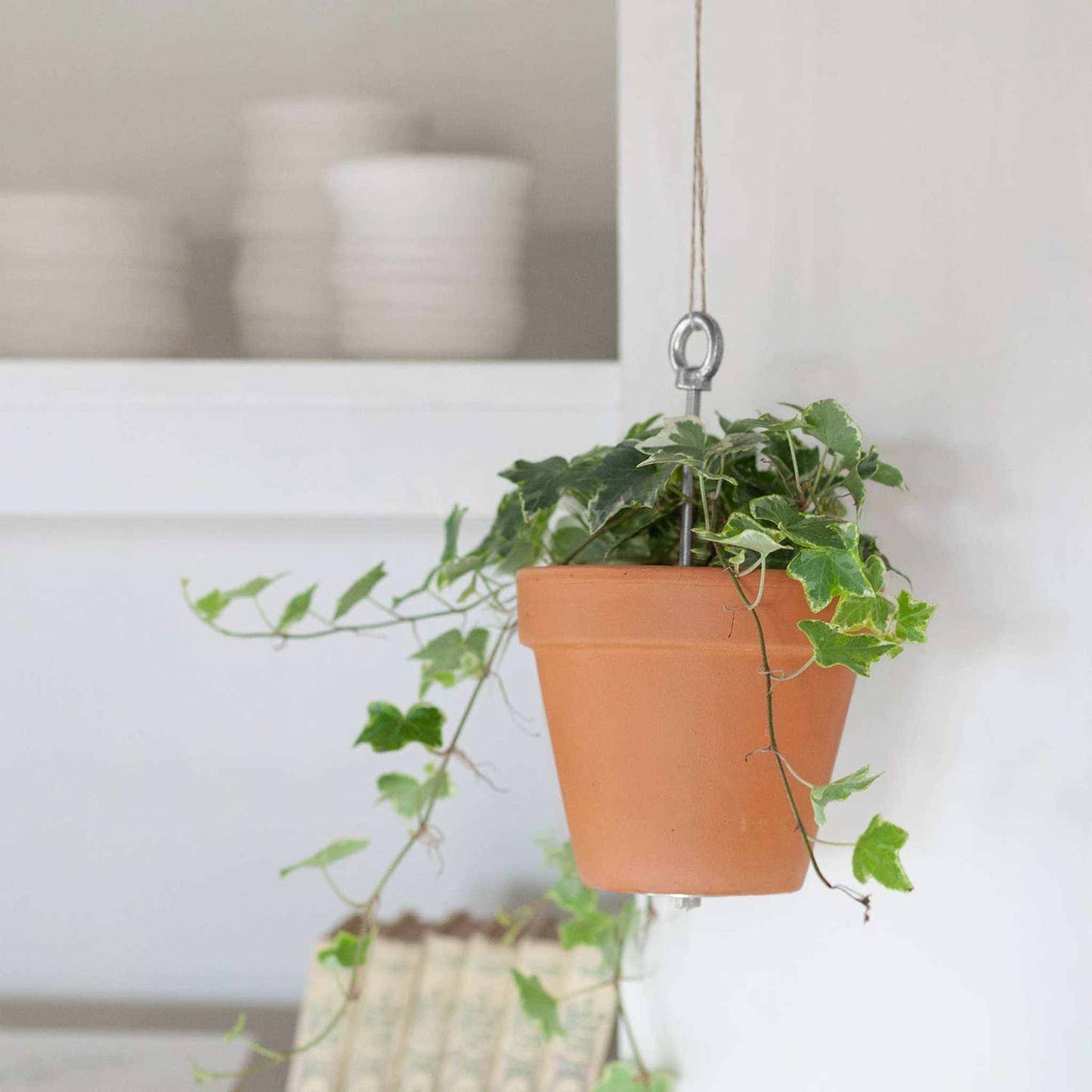 
                  
                    Bolty – Hanging planter system for plant pots - Curated Home Decor
                  
                
